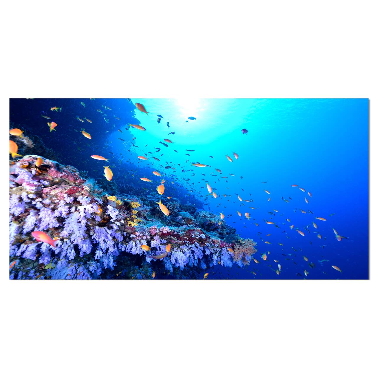 Designart - Coral Reef With Different fish Swimming - Sea &#x26; Shore Nautical Photographic on wrapped Canvas